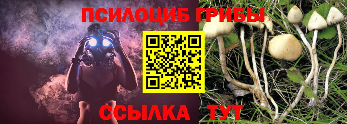 Галлюциногенные грибы ЛСД Кингисепп
